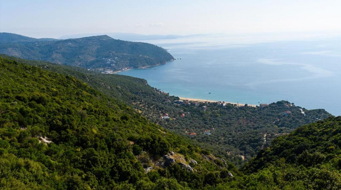 Oniropetra Pelion Mikro Bagian luar foto